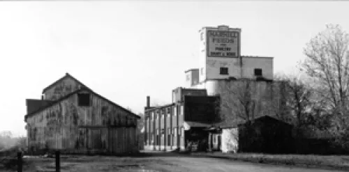 Reesor's Marmaill near the station