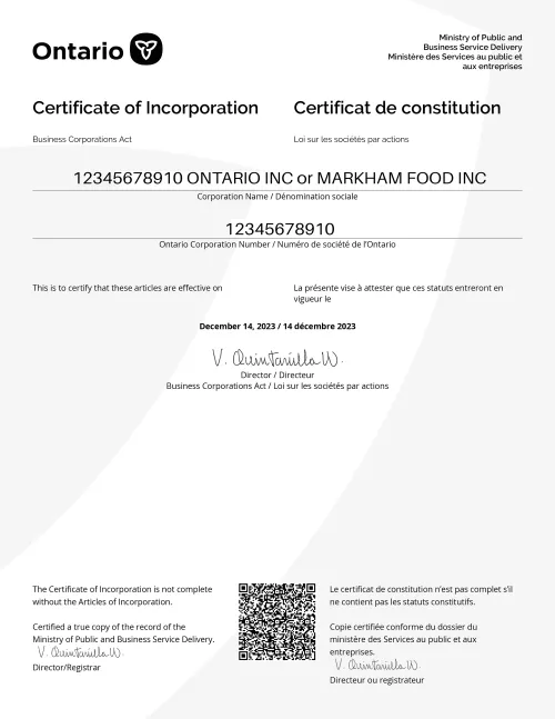 Corporation Paper Example