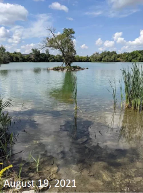 Swan lake, August 19 2021