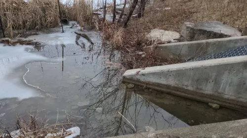 Ice and water in front of the outlet structure in Swan Lake