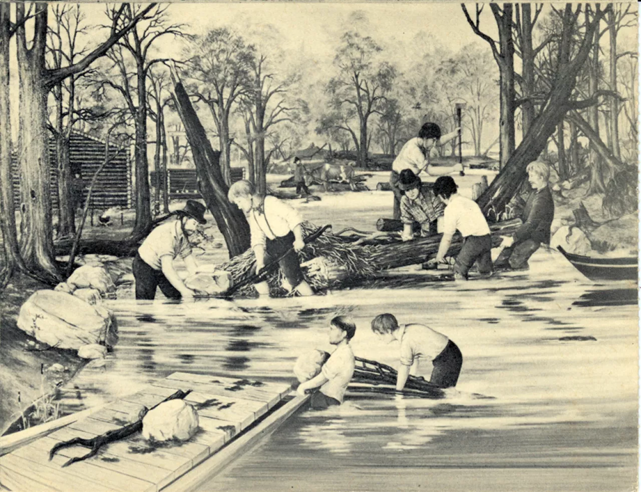 sawmill river cleaning