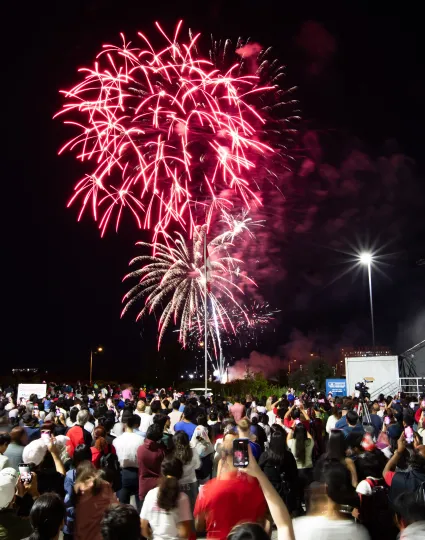 Crowd watching fireworks.