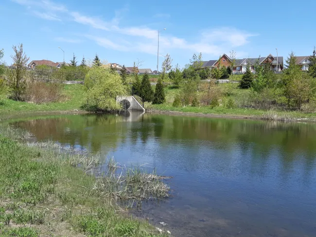 Markham Stormwater Pond