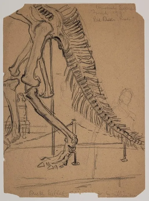 . H. Varley, Study of a Corythosaurus Dinosaur Skeleton, n.d., charcoal on paper, 30.5 cm x 22.6 cm. Collection of the Varley Art Gallery of Markham. Deaccessioned from the Art Gallery of Ontario. Gift of Kathleen McKay, 1979.